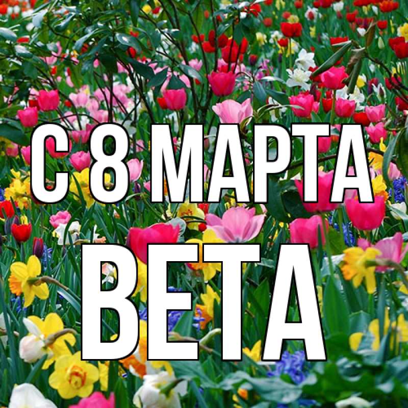 Картинка C 8 МАРТА, Вета
