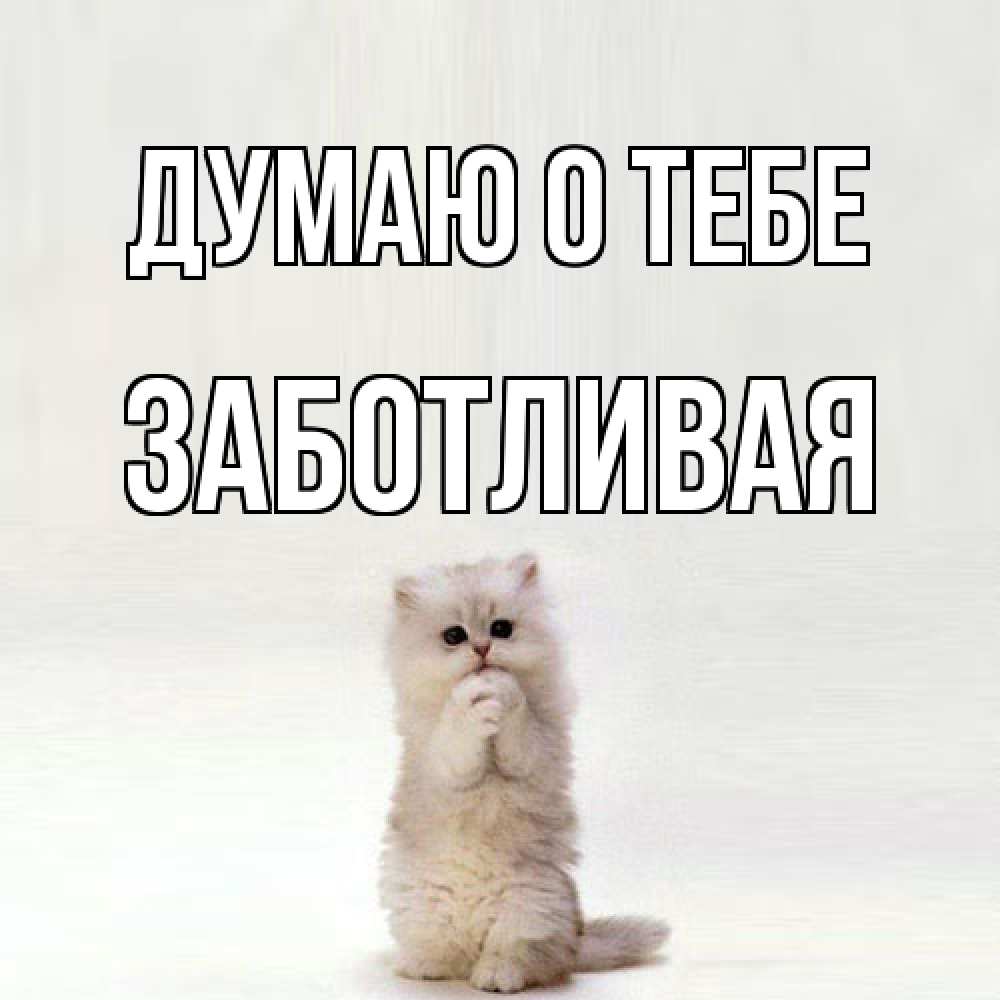 Открытка на каждый день с именем, Заботливая Думаю о тебе кот стоит на задних лапах Прикольная открытка с пожеланием онлайн скачать бесплатно 