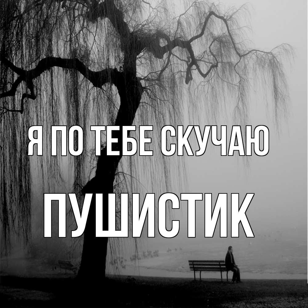 Открытка на каждый день с именем, Пушистик Я по тебе скучаю лавочка под деревом я жду тебя Прикольная открытка с пожеланием онлайн скачать бесплатно 