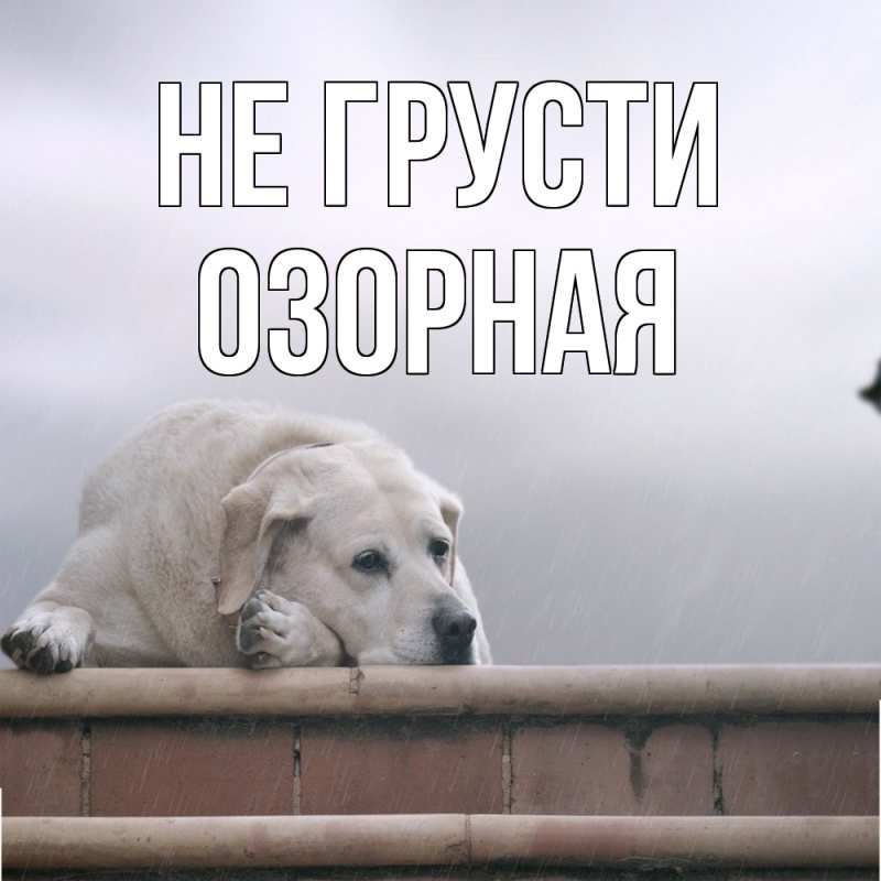 Картинка Не грусти, Озоpная