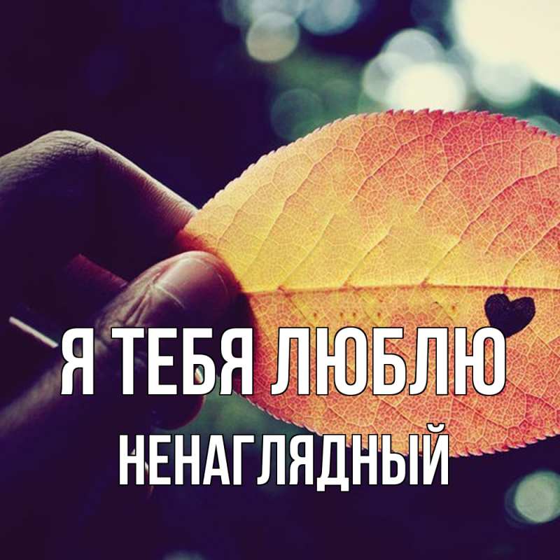 Картинка Я тебя люблю, Ненаглядный