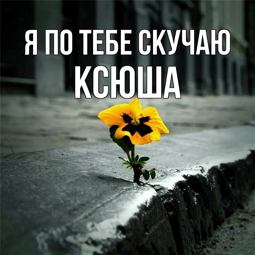 Открытка на каждый день с именем, Ксюша Я по тебе скучаю надеюсь будет лучше Прикольная открытка с пожеланием онлайн скачать бесплатно 