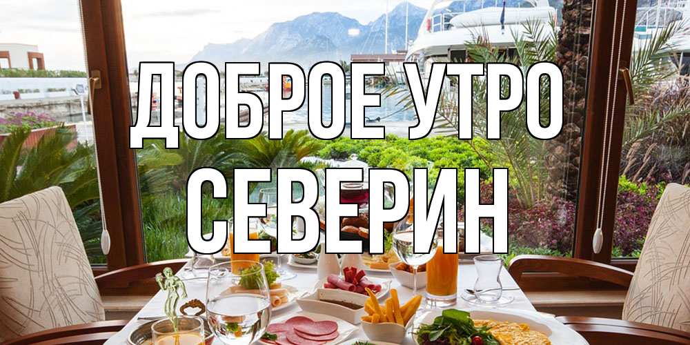 Открытка на каждый день с именем, Северин Доброе утро тропическое утро Прикольная открытка с пожеланием онлайн скачать бесплатно 
