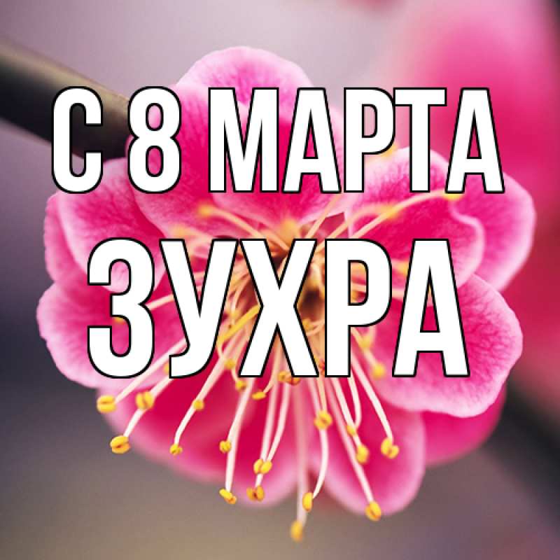 Картинка C 8 МАРТА, Зухра