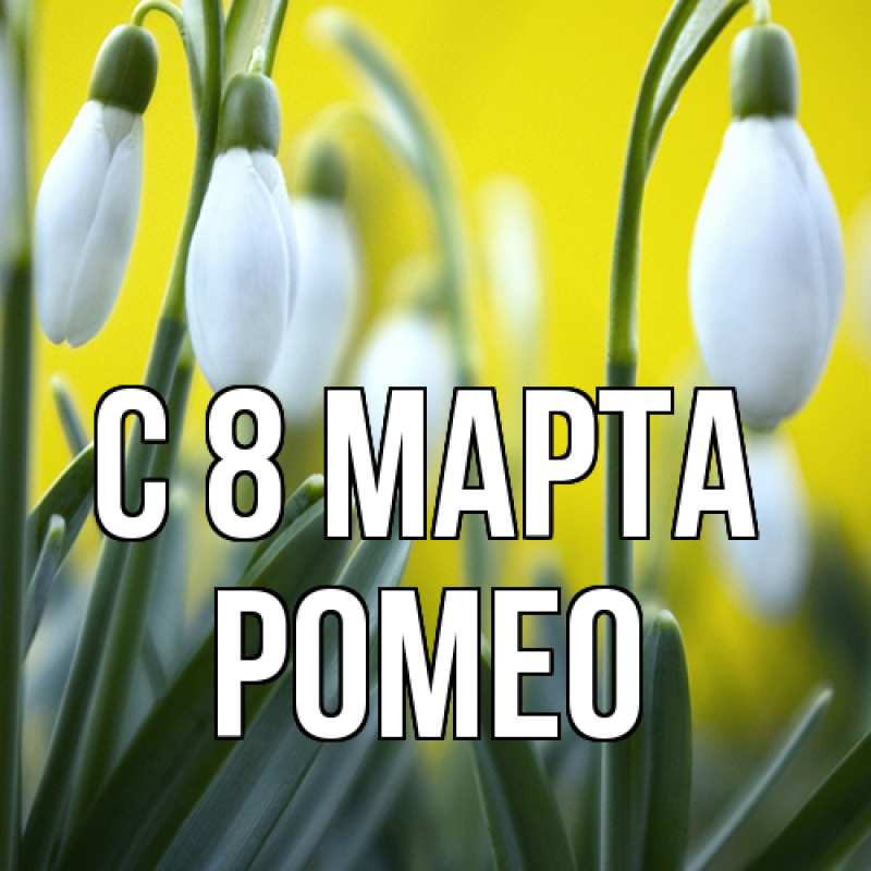 Картинка C 8 МАРТА, Ромео