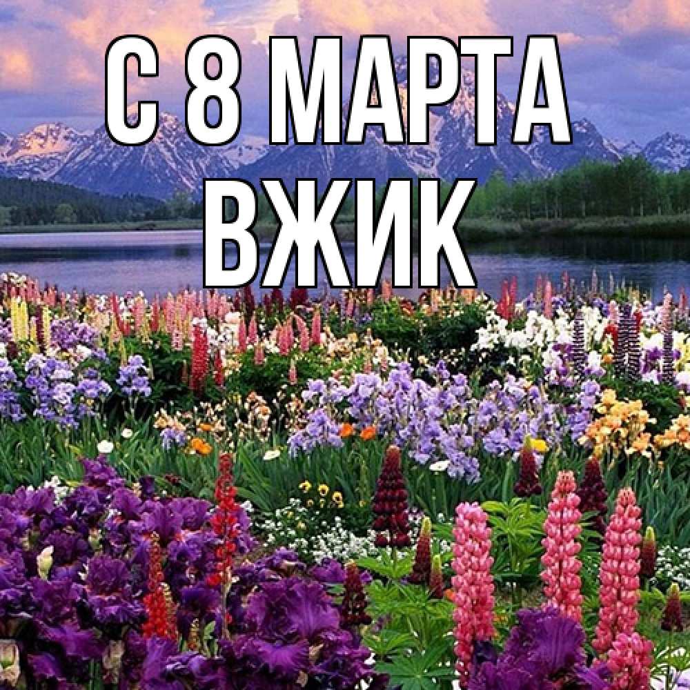 Открытка на каждый день с именем, Вжик C 8 МАРТА международный женский день Прикольная открытка с пожеланием онлайн скачать бесплатно 