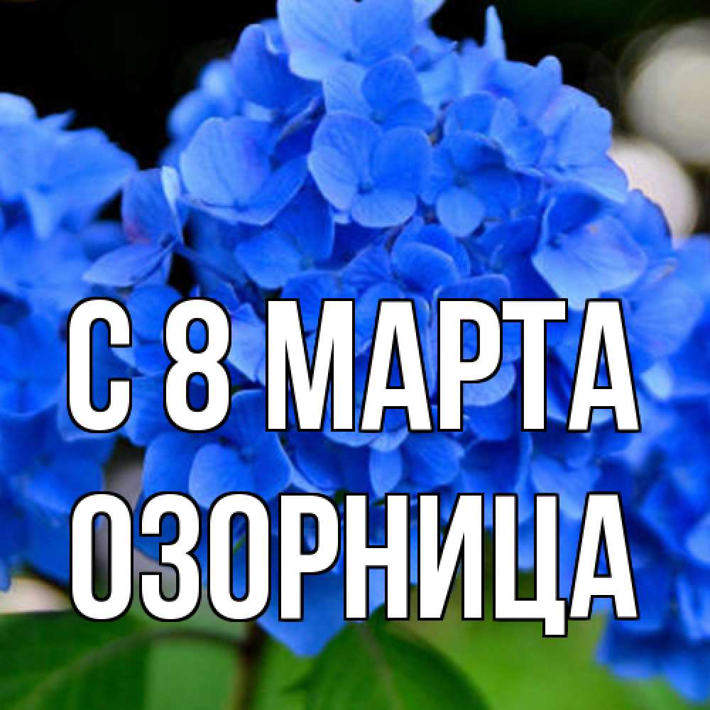 Открытка на каждый день с именем, Озорница C 8 МАРТА синие цветы Прикольная открытка с пожеланием онлайн скачать бесплатно 