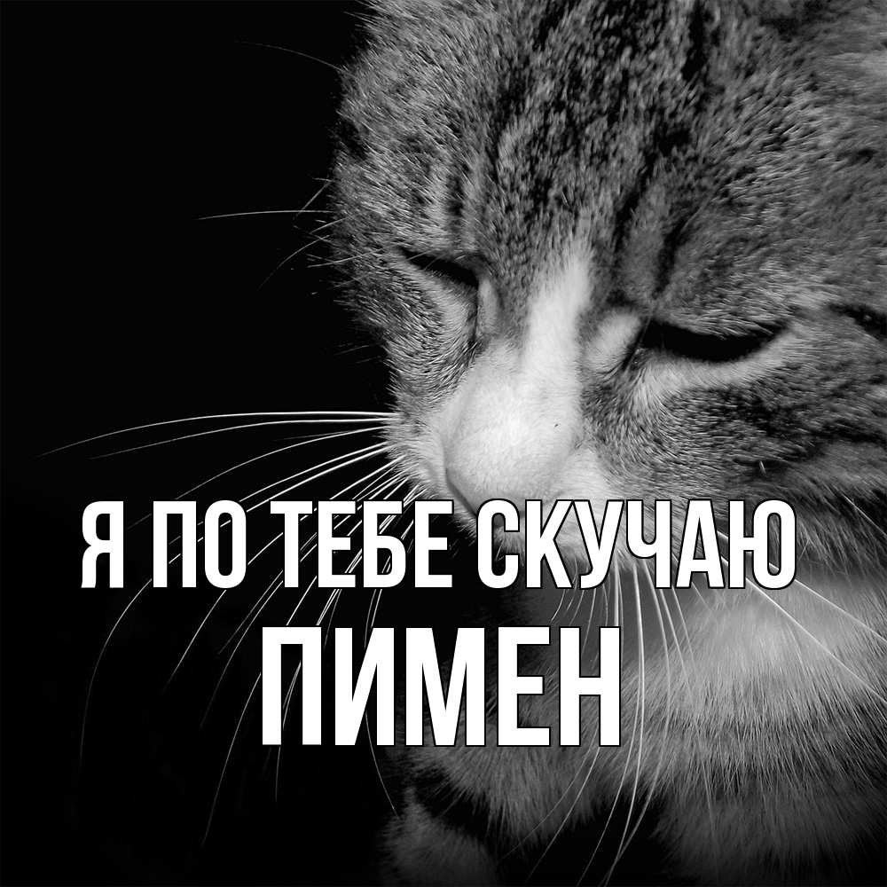 Открытка на каждый день с именем, Пимен Я по тебе скучаю мне скучно Прикольная открытка с пожеланием онлайн скачать бесплатно 