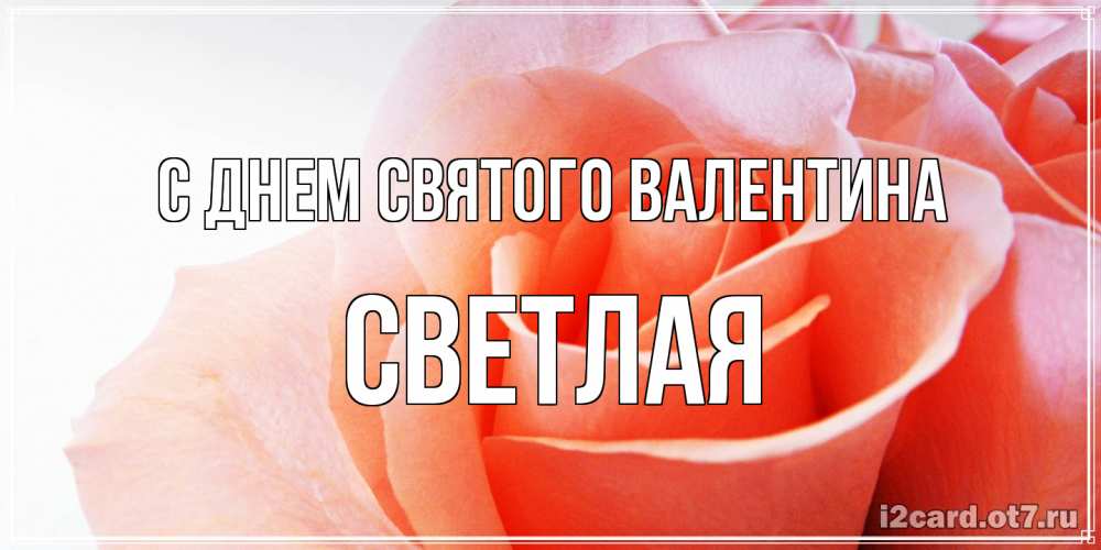 Открытка на каждый день с именем, Светлая С днем Святого Валентина открытка на день Святого Валентина с розовой розой Прикольная открытка с пожеланием онлайн скачать бесплатно 