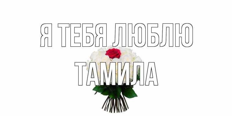 Картинка Я тебя люблю, ТАМИЛА