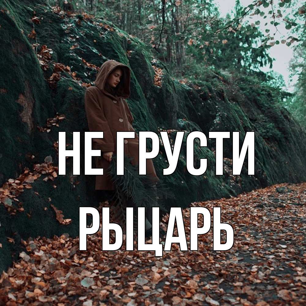 Открытка на каждый день с именем, Рыцарь Не грусти осенний лес Прикольная открытка с пожеланием онлайн скачать бесплатно 