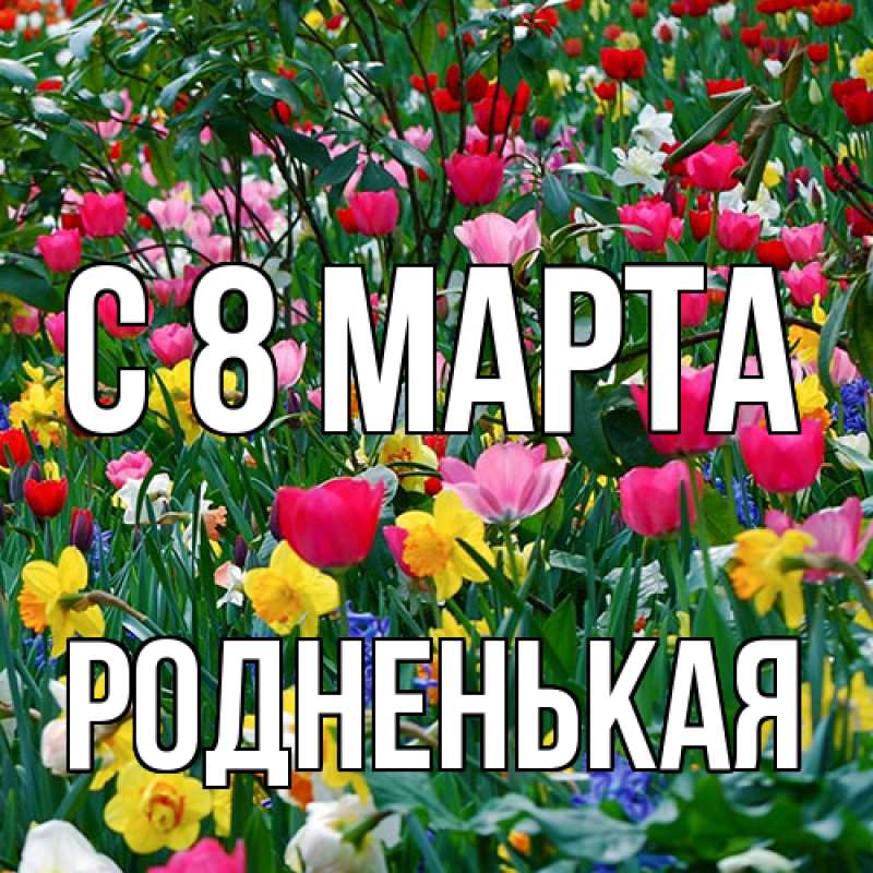 Картинка C 8 МАРТА, Родненькая