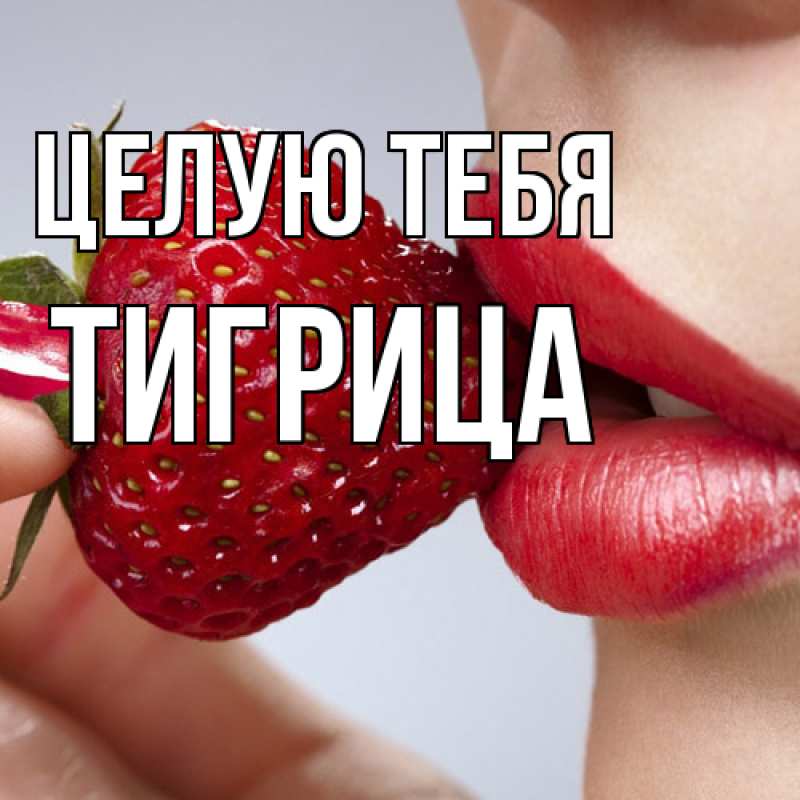 Картинка Целую тебя, Тигрица