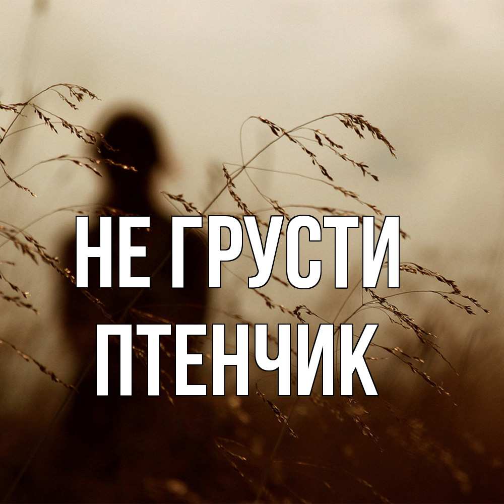 Открытка на каждый день с именем, Птенчик Не грусти грусть Прикольная открытка с пожеланием онлайн скачать бесплатно 