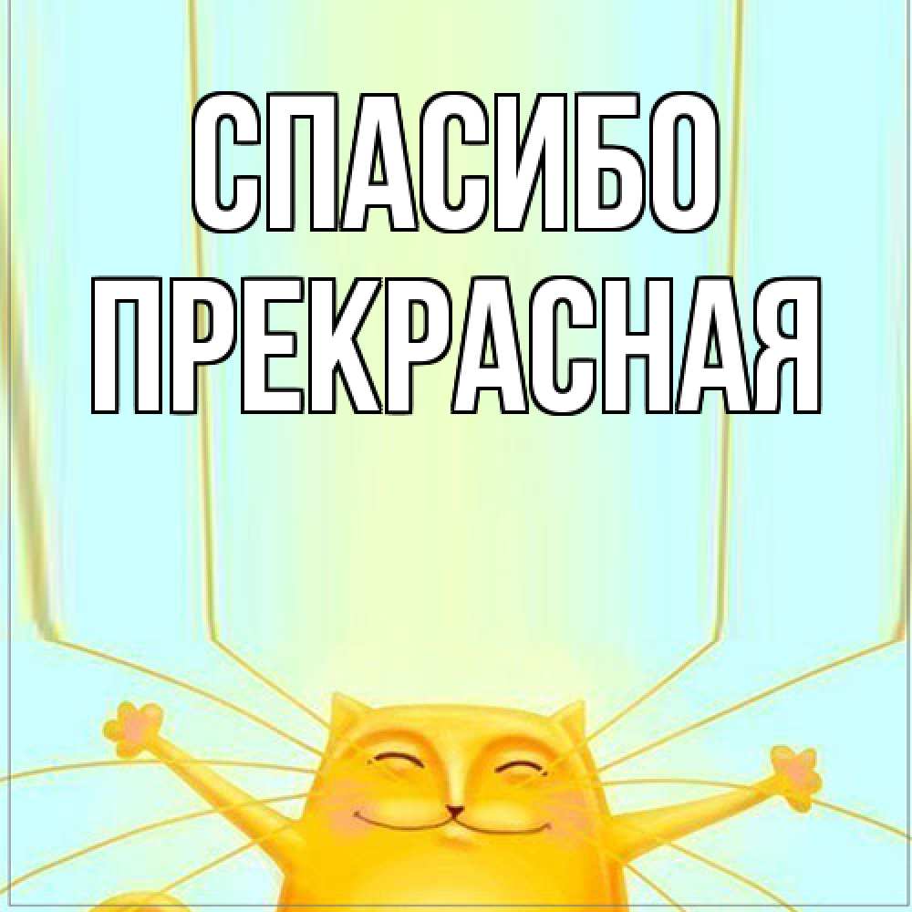 Открытка на каждый день с именем, Пpекpасная Спасибо кот с усами благодарит Прикольная открытка с пожеланием онлайн скачать бесплатно 