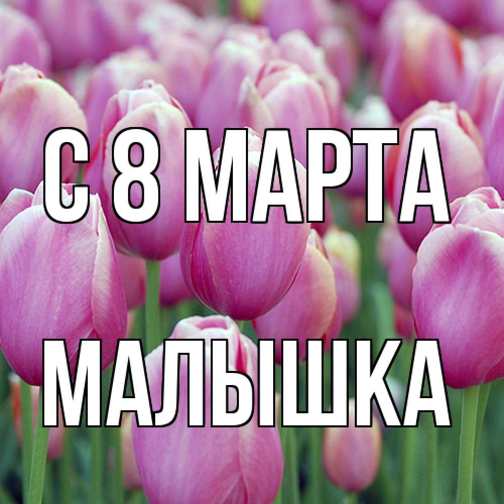 Открытка на каждый день с именем, малышка C 8 МАРТА на международный женский день 3 Прикольная открытка с пожеланием онлайн скачать бесплатно 