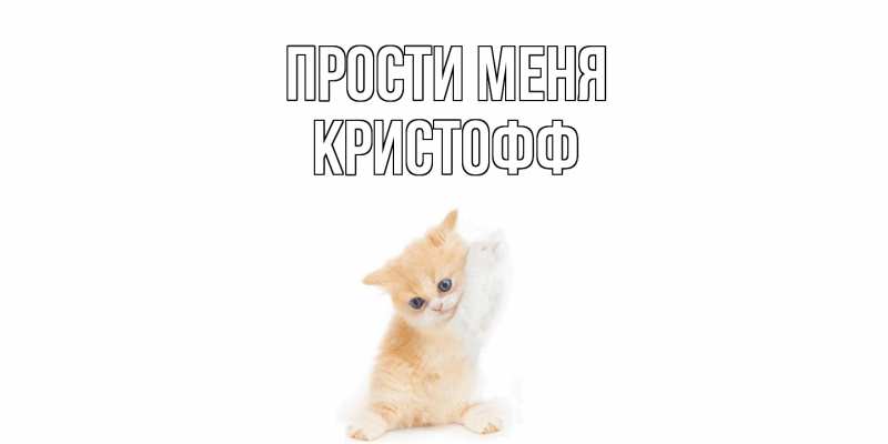Картинка Прости меня, Кристофф