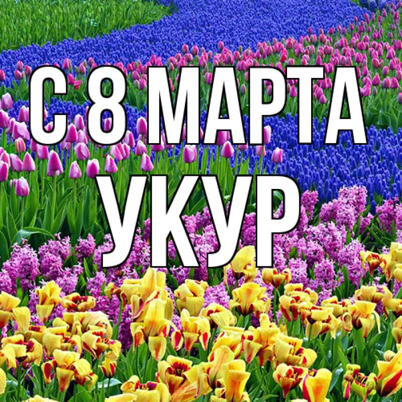 Картинка C 8 МАРТА, Укур