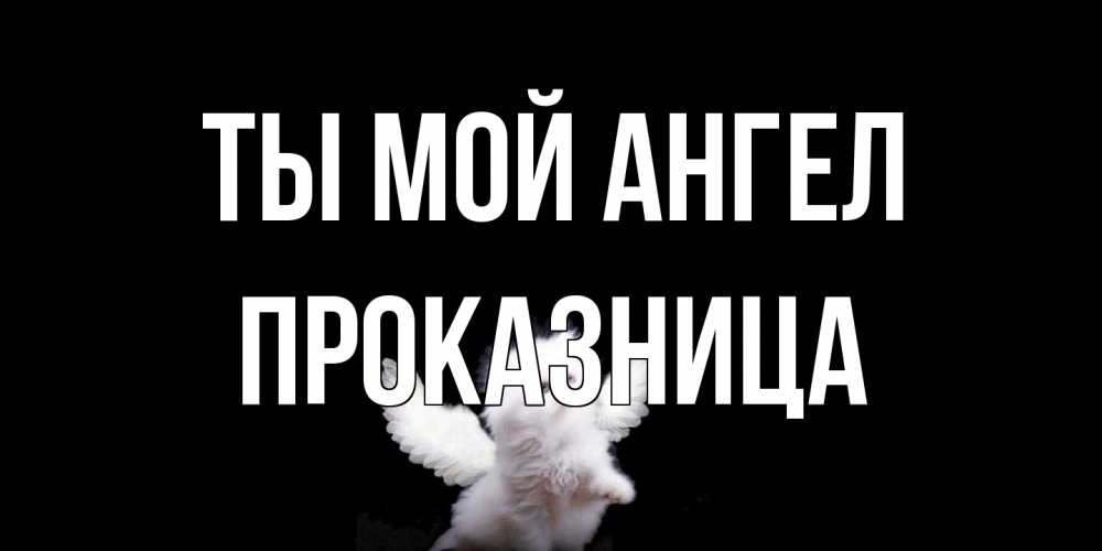 Открытка на каждый день с именем, Проказница Ты мой ангел Кот ангел Прикольная открытка с пожеланием онлайн скачать бесплатно 