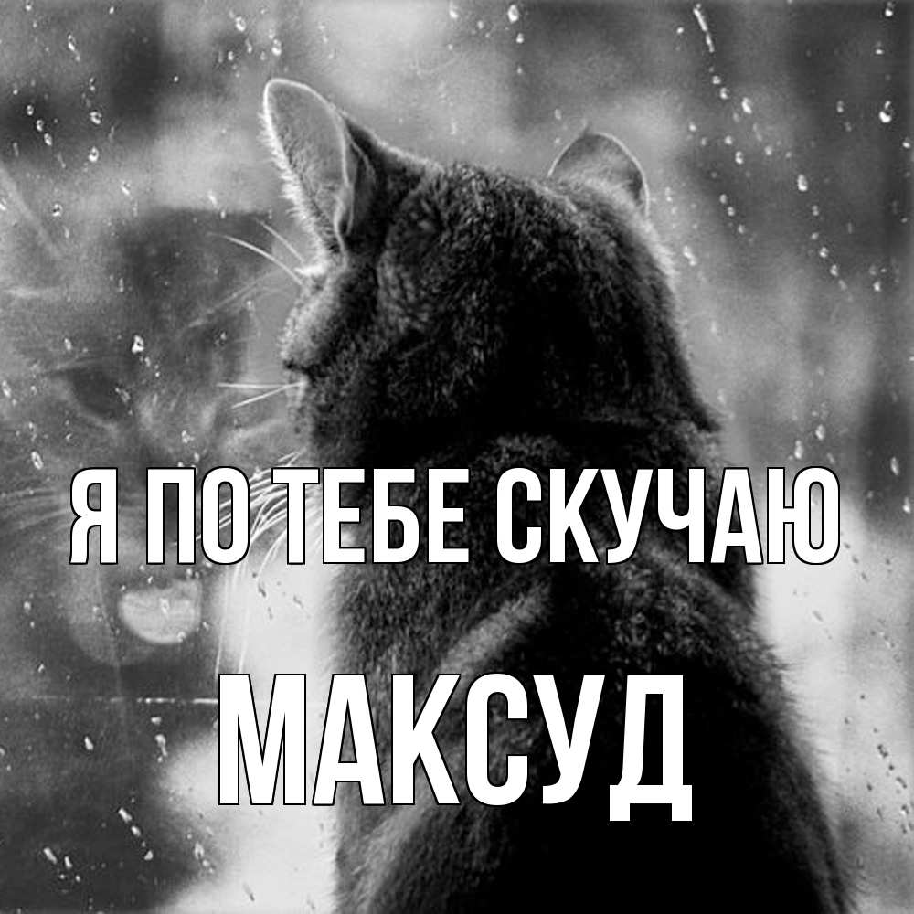 Открытка на каждый день с именем, Максуд Я по тебе скучаю скорее ко мне приходи 1 Прикольная открытка с пожеланием онлайн скачать бесплатно 