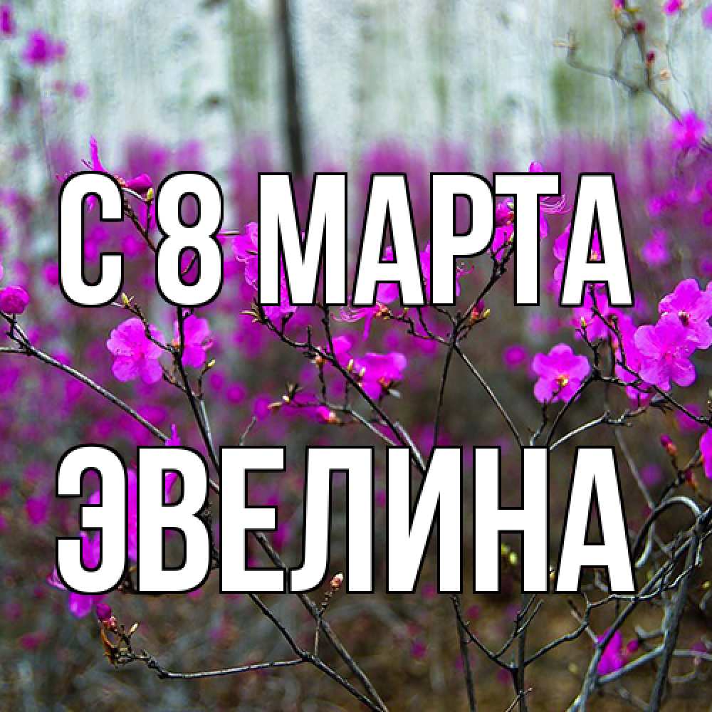Открытка на каждый день с именем, Эвелина C 8 МАРТА дикие цветы Прикольная открытка с пожеланием онлайн скачать бесплатно 
