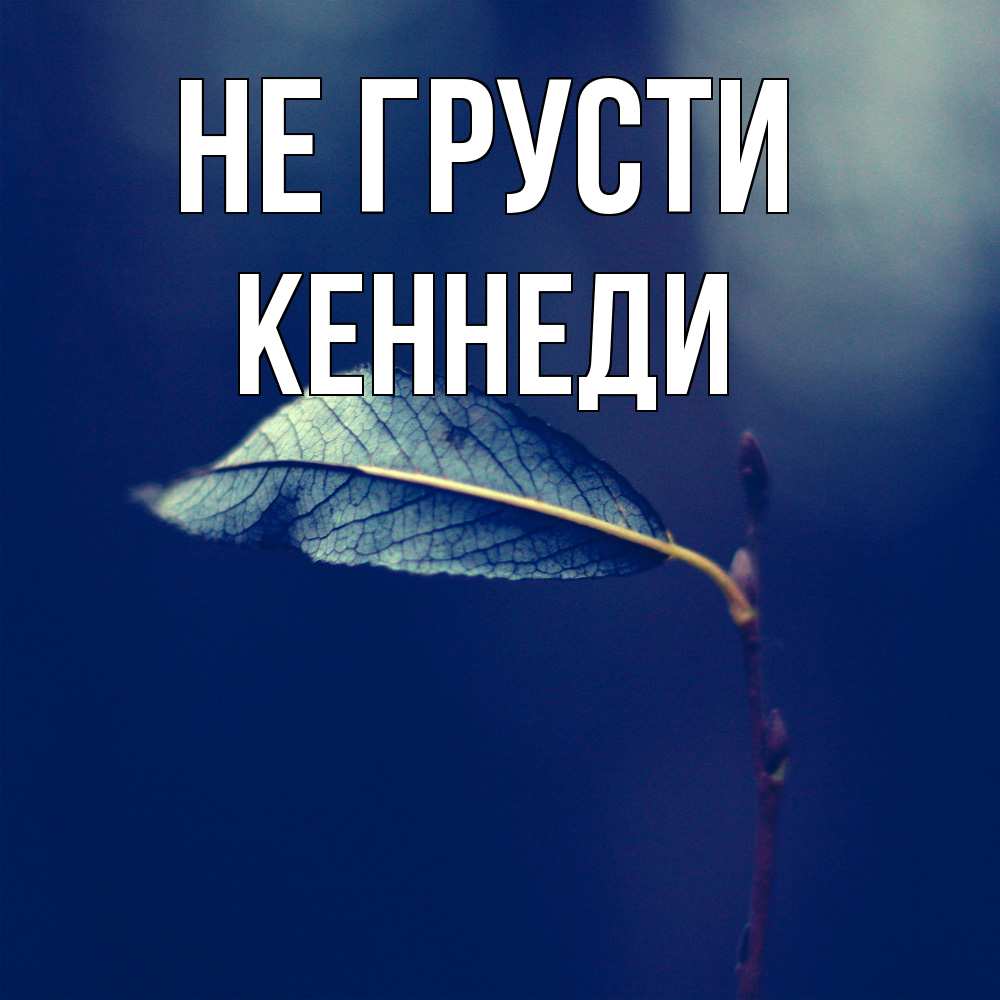 Открытка на каждый день с именем, Кеннеди Не грусти растение Прикольная открытка с пожеланием онлайн скачать бесплатно 