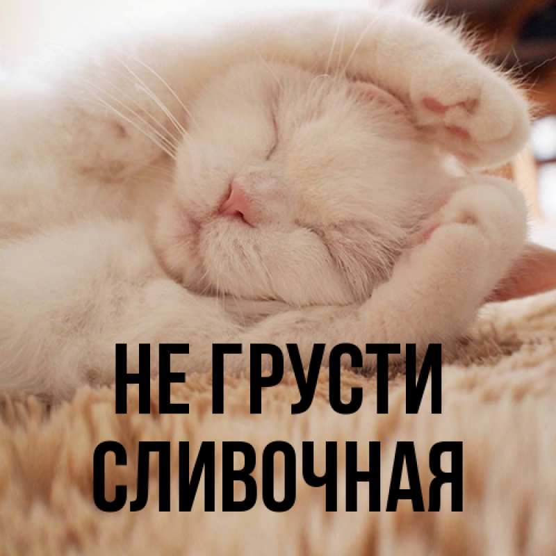 Картинка Не грусти, Сливочная