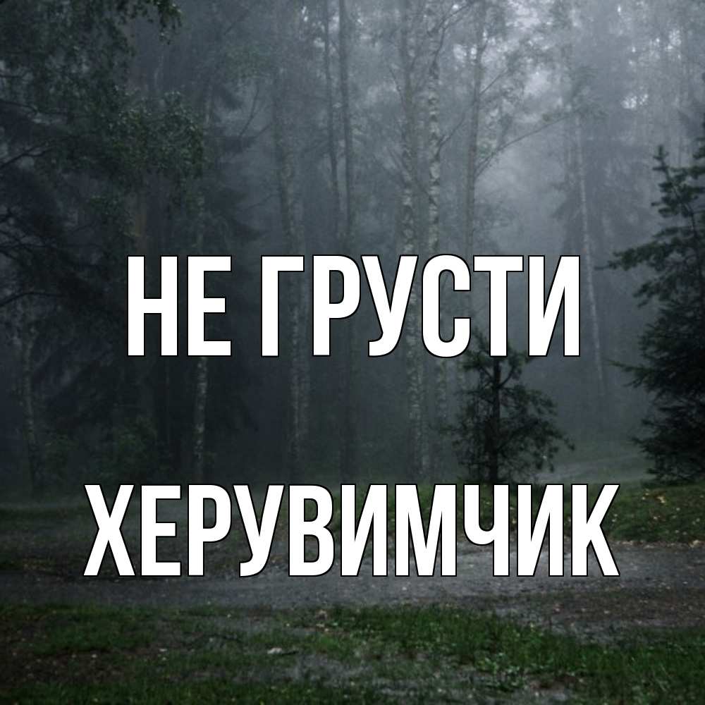 Открытка на каждый день с именем, Хеpувимчик Не грусти осень Прикольная открытка с пожеланием онлайн скачать бесплатно 