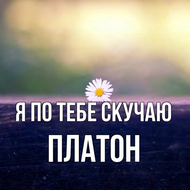 Картинка Я по тебе скучаю, Платон