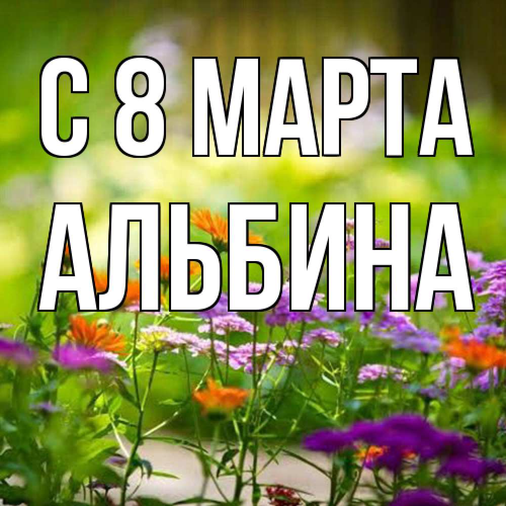 Открытка на каждый день с именем, Альбина C 8 МАРТА цветы Прикольная открытка с пожеланием онлайн скачать бесплатно 