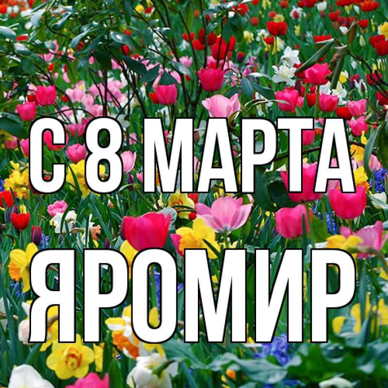 Картинка C 8 МАРТА, Яромир