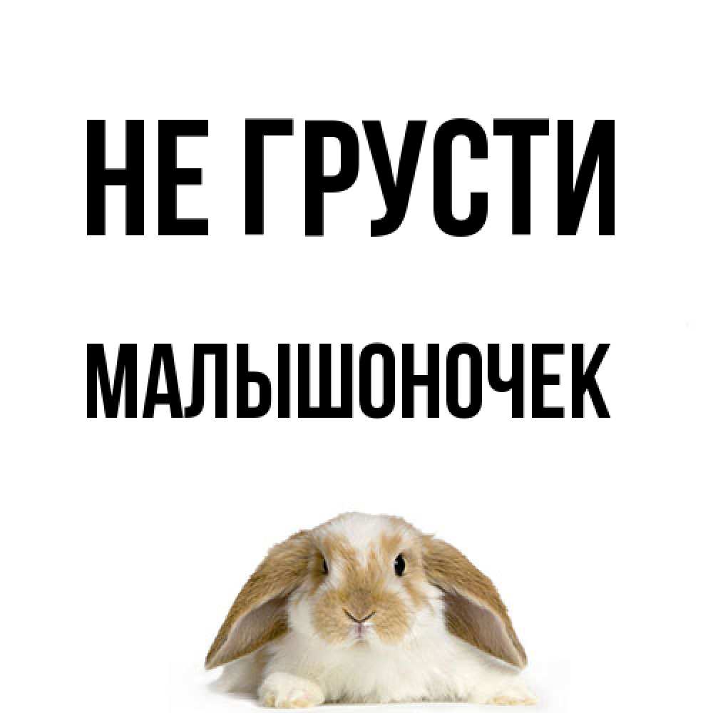 Открытка на каждый день с именем, Малышоночек Не грусти коричнево белый заяц с большими ушками Прикольная открытка с пожеланием онлайн скачать бесплатно 