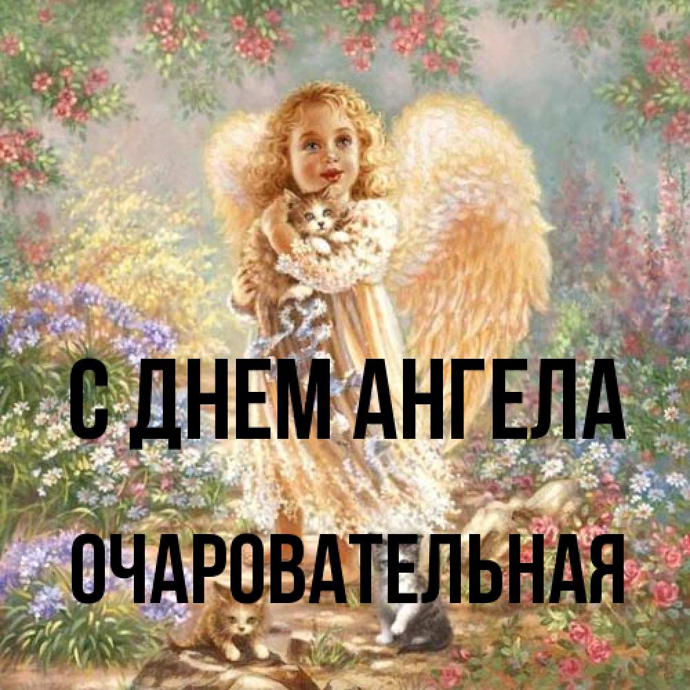 Открытка на каждый день с именем, очаровательная С днем ангела держит котенка Прикольная открытка с пожеланием онлайн скачать бесплатно 