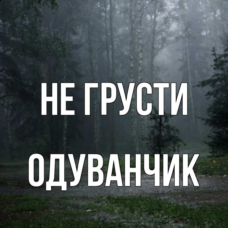 Картинка Не грусти, Одуванчик