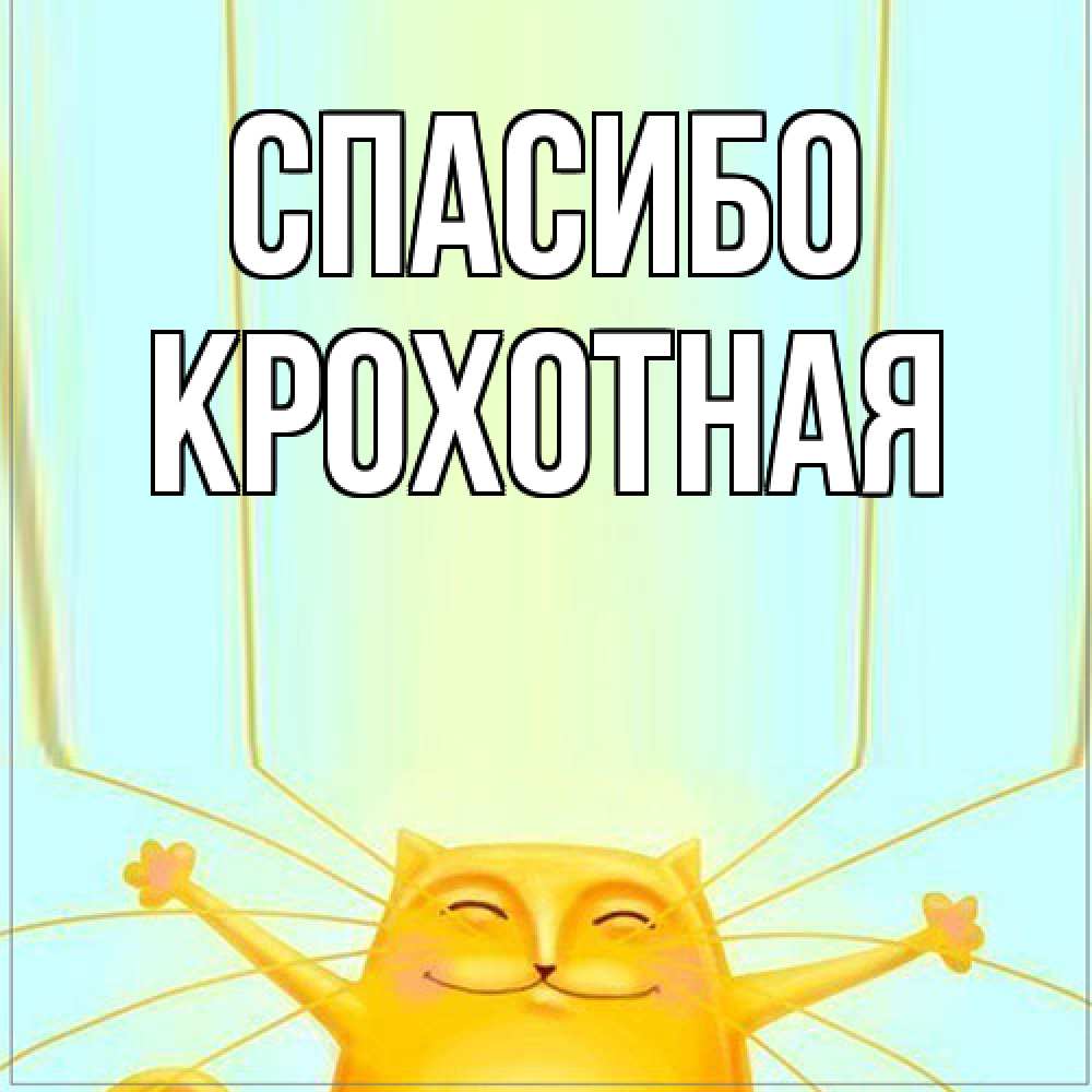 Открытка на каждый день с именем, Крохотная Спасибо кот с усами благодарит Прикольная открытка с пожеланием онлайн скачать бесплатно 