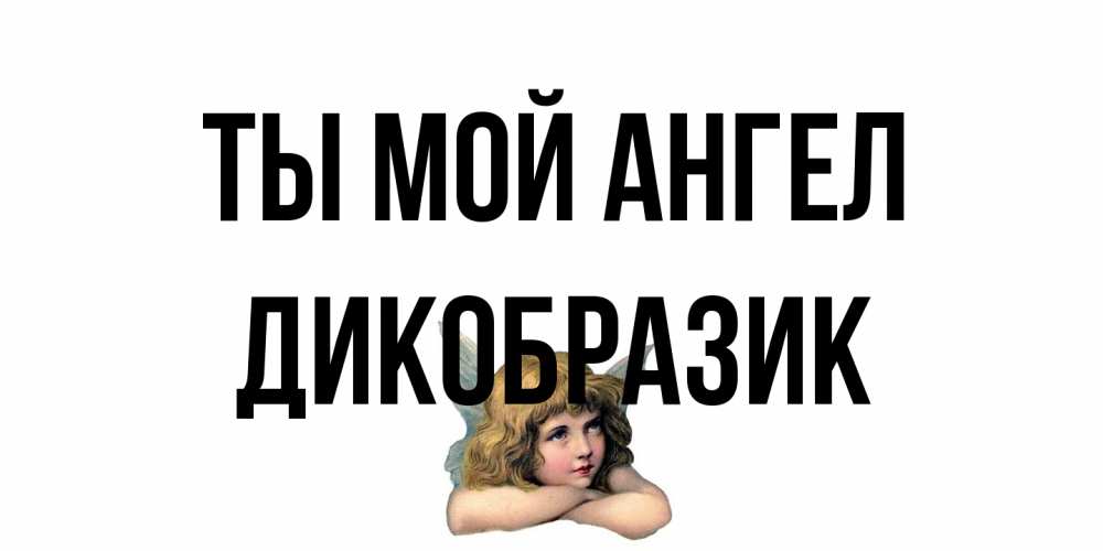 Открытка на каждый день с именем, дикобразик Ты мой ангел ангел Прикольная открытка с пожеланием онлайн скачать бесплатно 