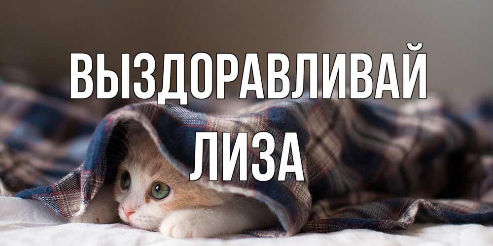 Открытка на каждый день с именем, Лиза Выздоравливай не болейте с котиком Прикольная открытка с пожеланием онлайн скачать бесплатно 
