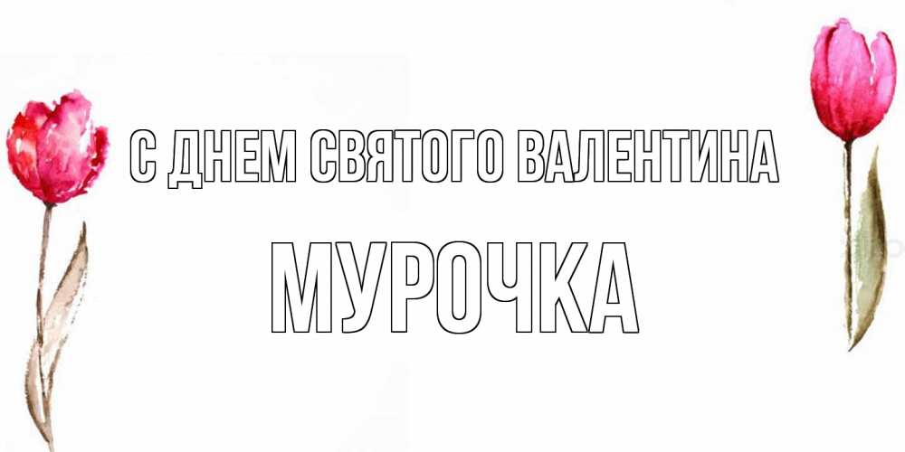 Открытка на каждый день с именем, Мурочка С днем Святого Валентина Открытки на день всех влюбленных с тюльпанами акварелью Прикольная открытка с пожеланием онлайн скачать бесплатно 