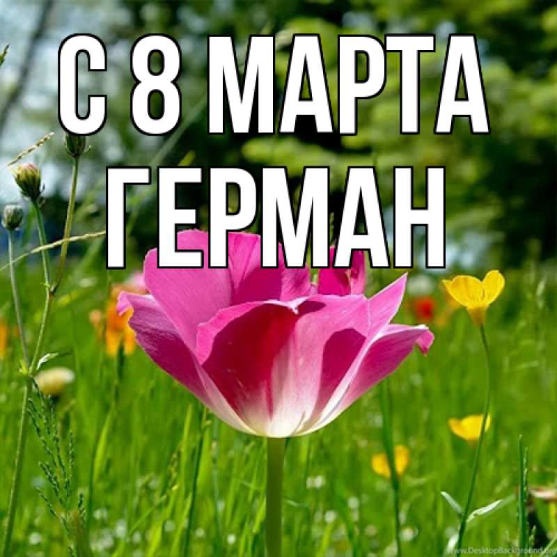 Картинка C 8 МАРТА, Герман