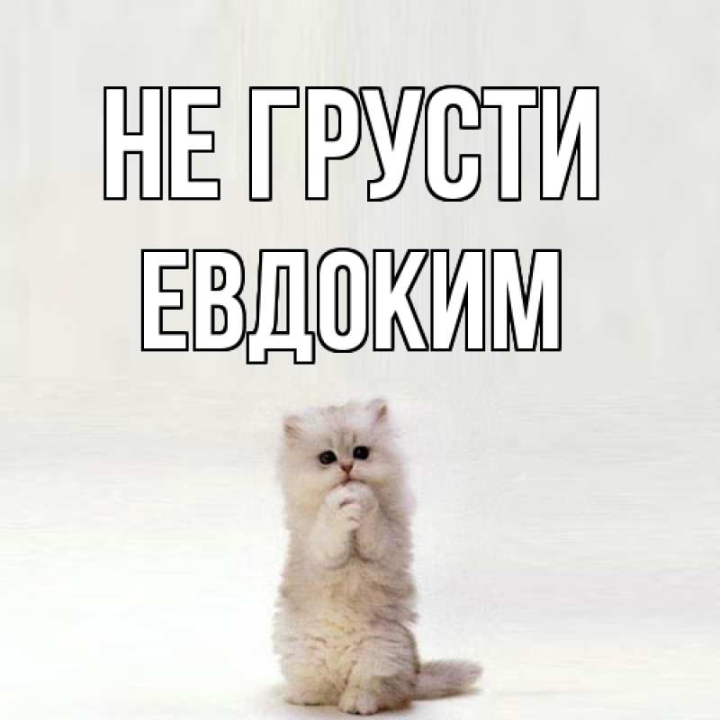 Картинка Не грусти, Евдоким