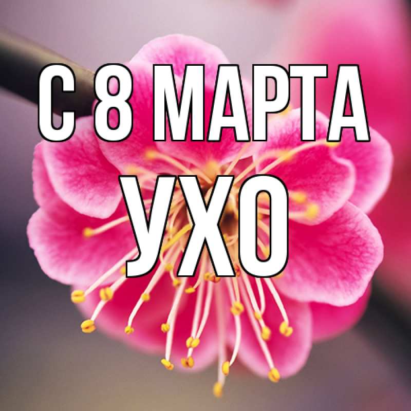 Картинка C 8 МАРТА, Ухо