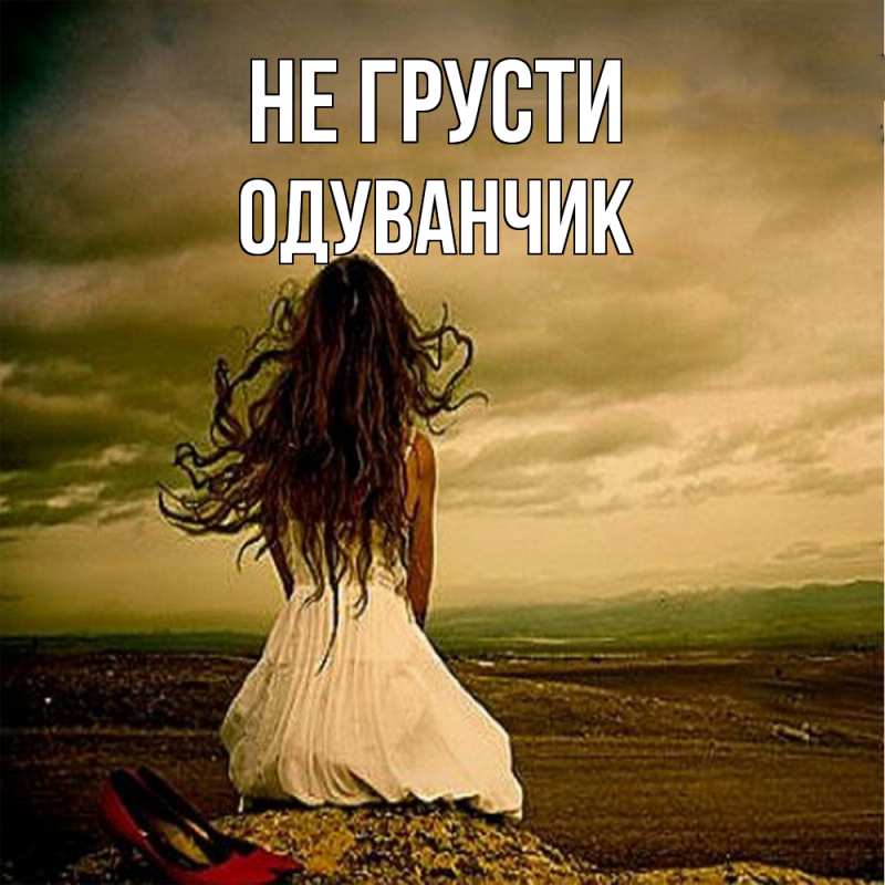 Картинка Не грусти, Одуванчик