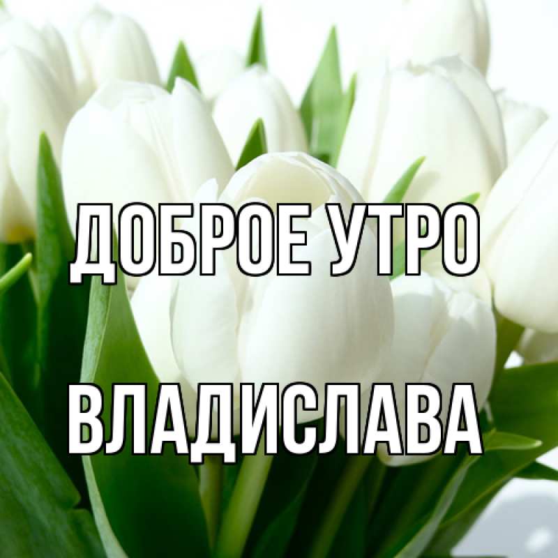 Картинка Доброе утро, Владислава