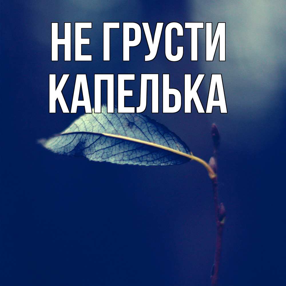 Открытка на каждый день с именем, Капелька Не грусти растение Прикольная открытка с пожеланием онлайн скачать бесплатно 