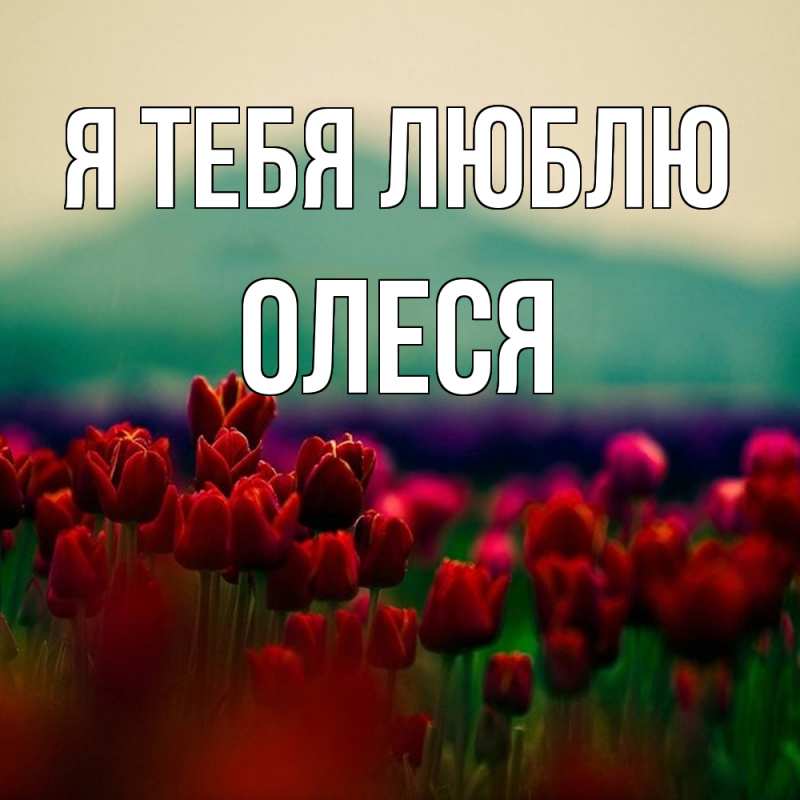Картинка Я тебя люблю, Олеся