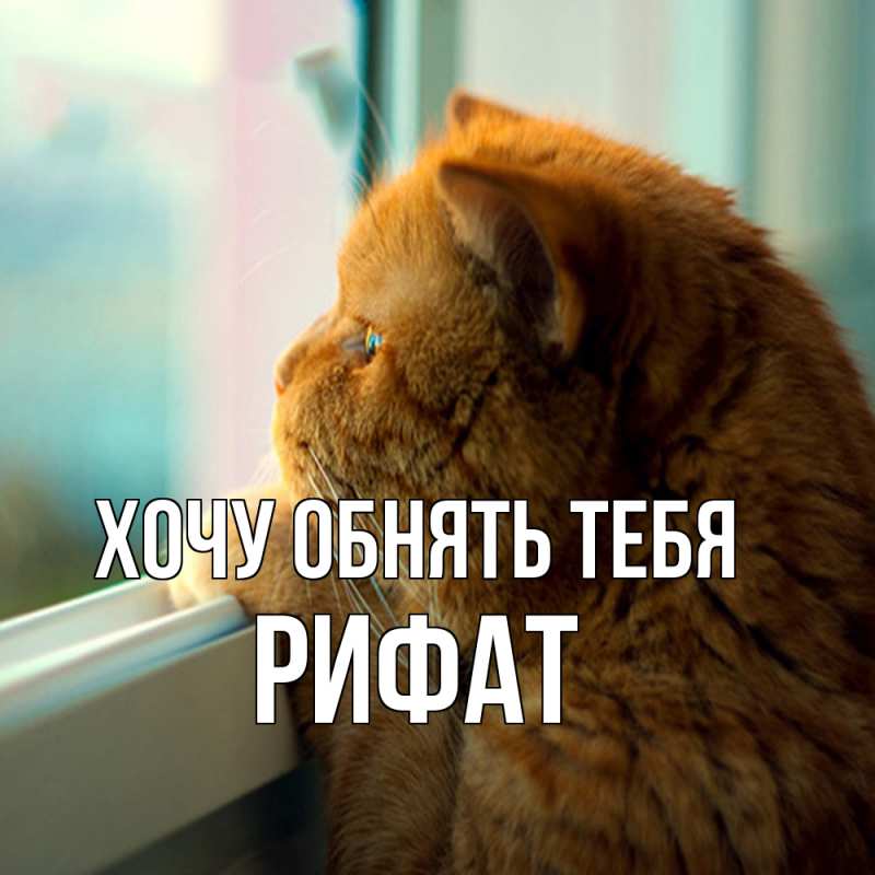 Картинка Хочу обнять тебя, Рифат