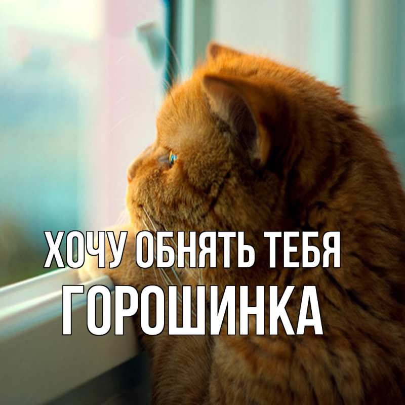 Картинка Хочу обнять тебя, горошинка