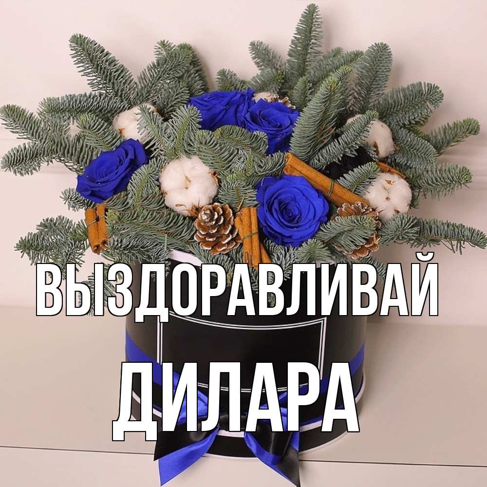 Открытка на каждый день с именем, Дилара Выздоравливай короче кто то загрузил эти шишки Прикольная открытка с пожеланием онлайн скачать бесплатно 