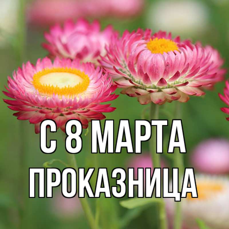 Открытка с именем, Проказница, C 8 МАРТА