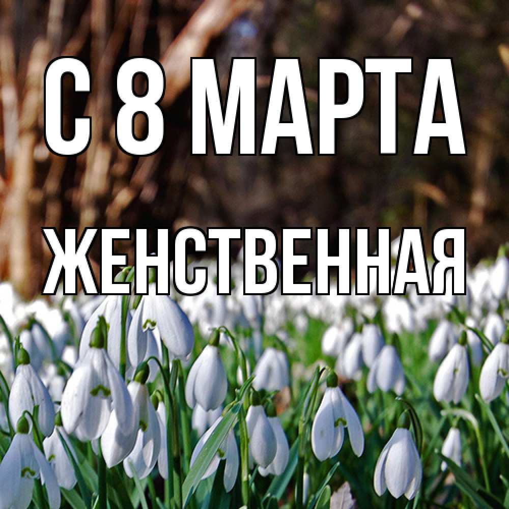 Открытка на каждый день с именем, женственная C 8 МАРТА с подснежниками 1 Прикольная открытка с пожеланием онлайн скачать бесплатно 